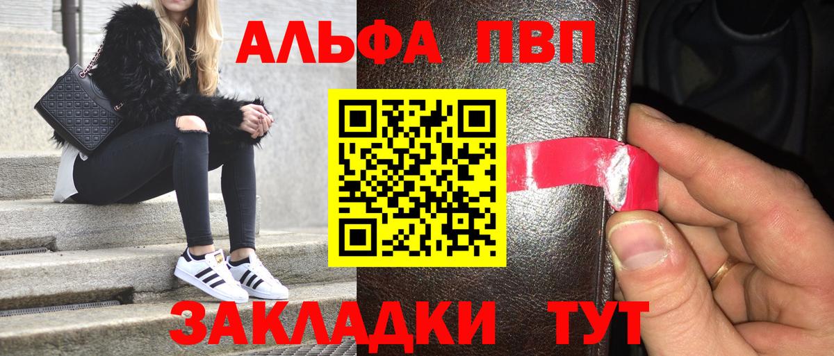Альфа ПВП СК Выборг