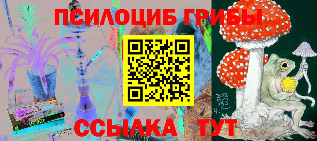 Галлюциногенные грибы Выборг